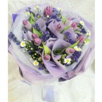 Purple Tulip 10