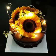 FD sun cake